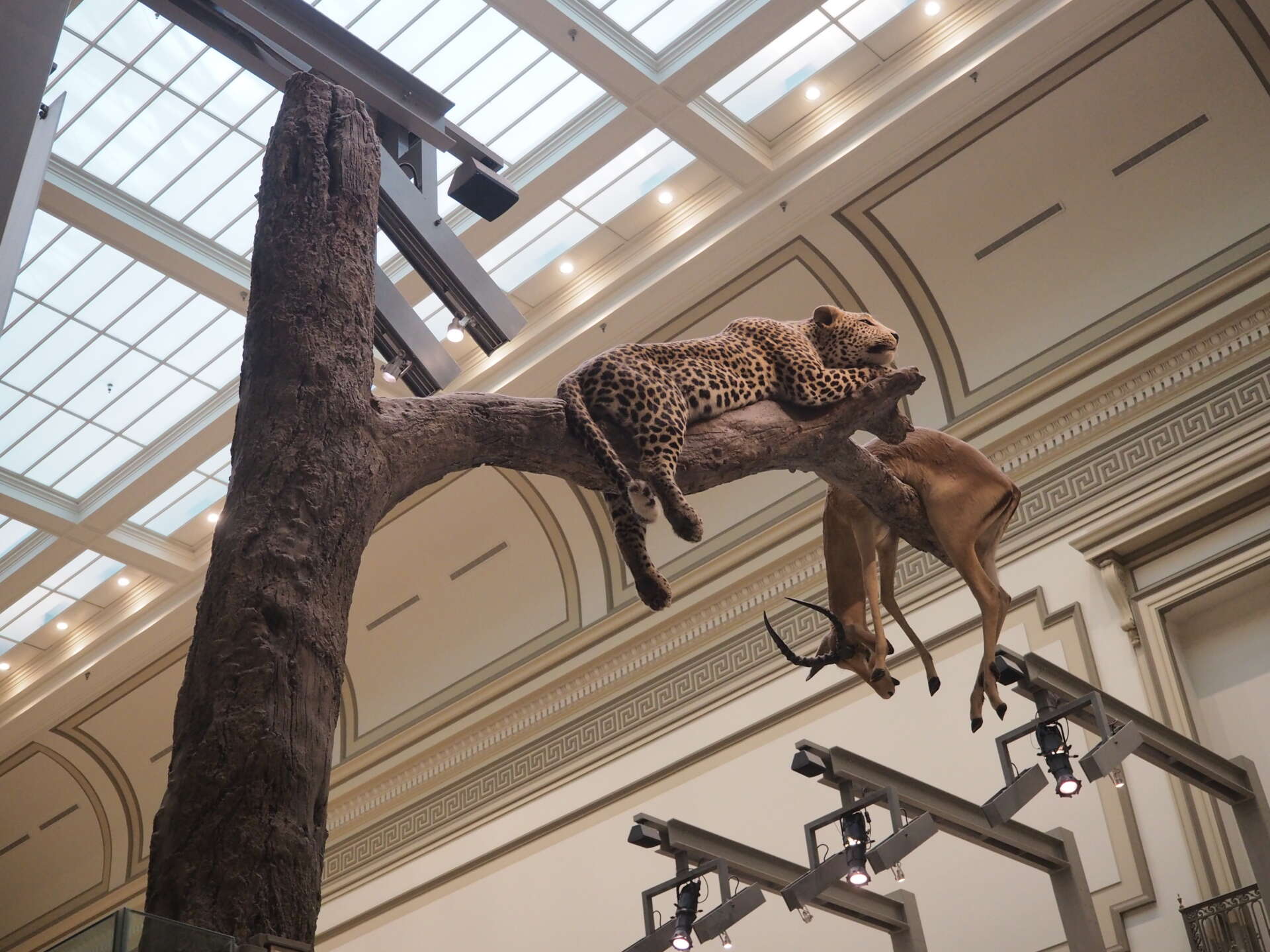 Musée d'histoire naturelle