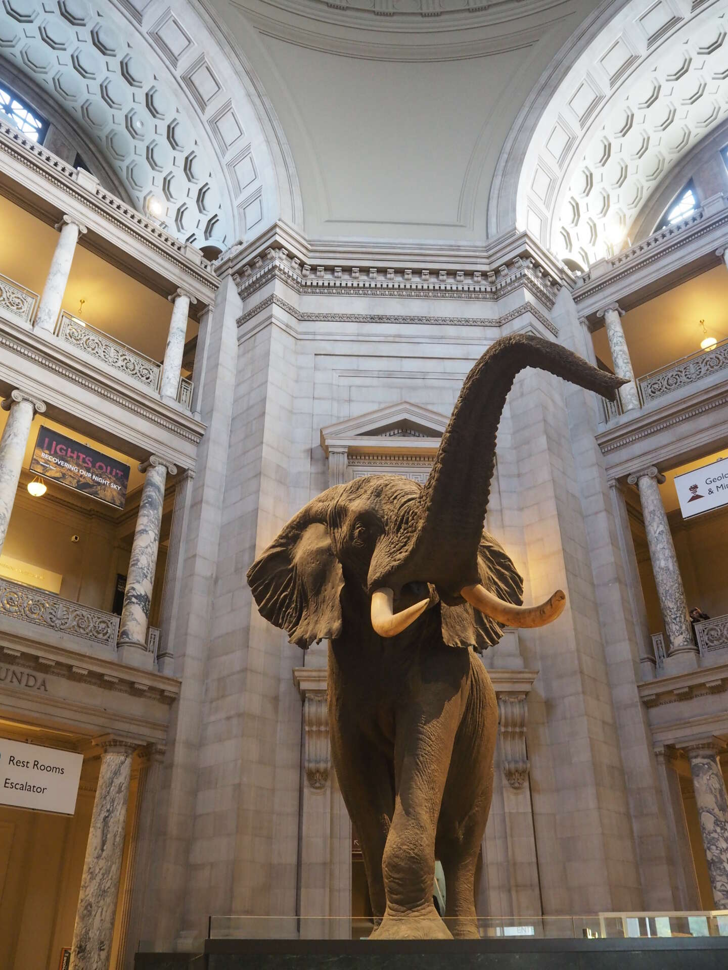 Musée d'histoire naturelle