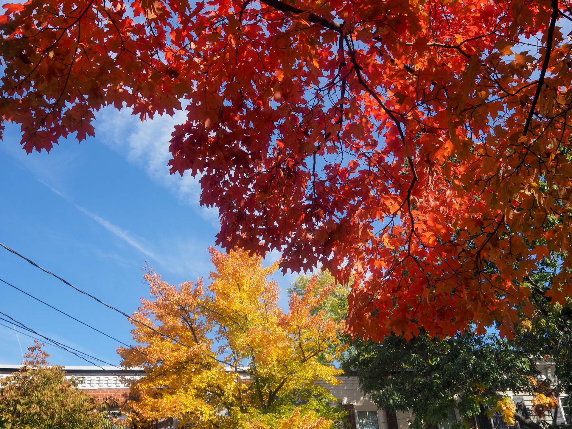 Alexandria Virginia